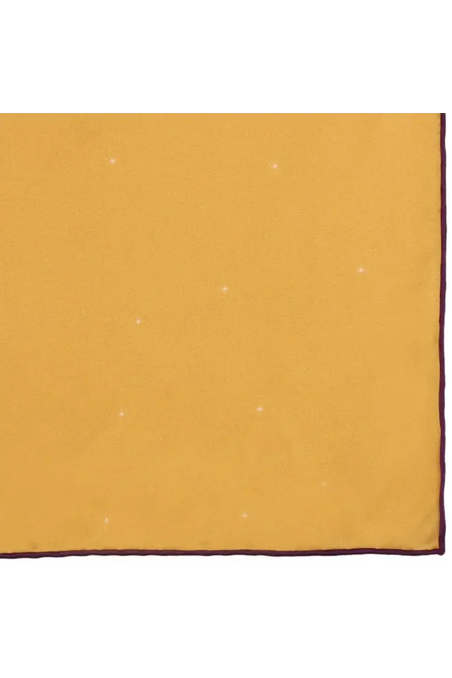 Hazenin Işıltı Detaylı Altın Renk İpek Eşarp